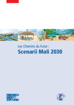 Les Chemins du futur: Scenarii Mali 2030