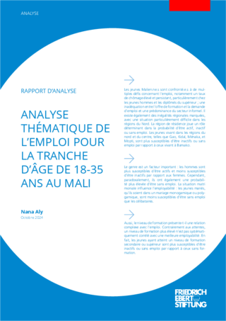 Analyse thématique de l'emploi pour la tranche d'âge de 18-35 ans au Mali